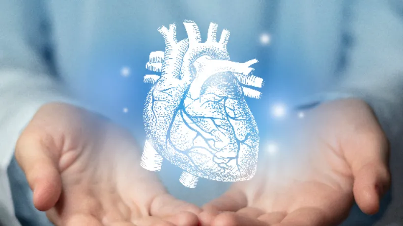 img_629d9f9197f7c1654497169